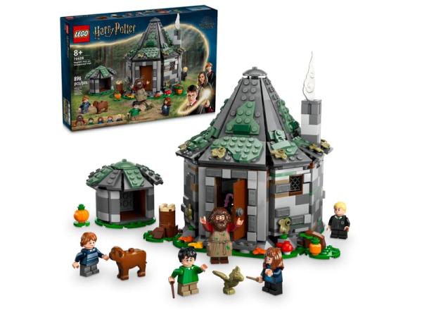 LEGO® Harry Potter™ 76428 Hagrids Hütte: Ein unerwarteter Besuch
